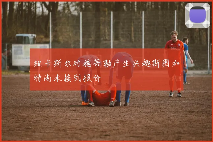 纽卡斯尔对施蒂勒产生兴趣斯图加特尚未接到报价