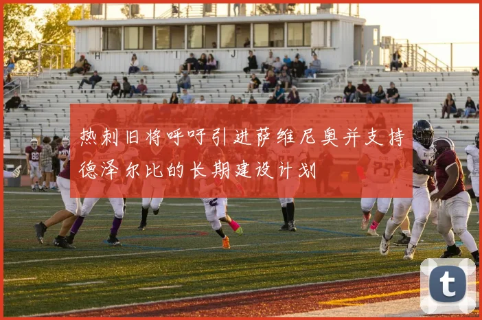 热刺旧将呼吁引进萨维尼奥并支持德泽尔比的长期建设计划